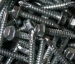TEK SCREW C/W WASHER (x100)